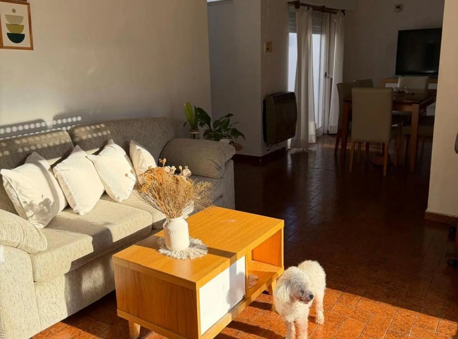Casa de 3 dormitorios con pileta. 5