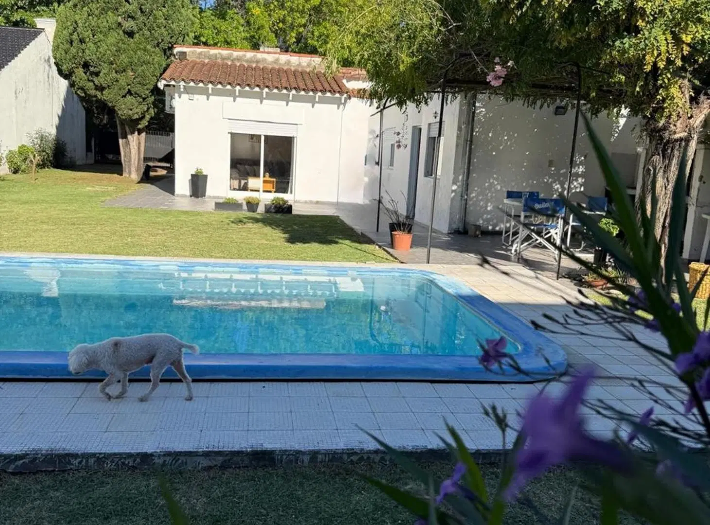 Casa de 3 dormitorios con pileta. 8