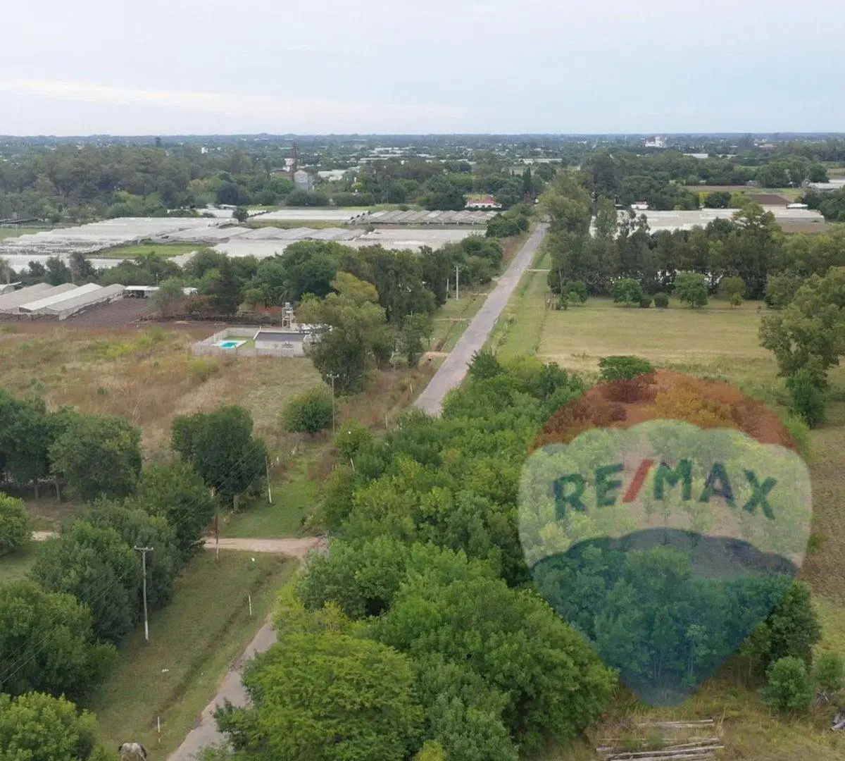 CAMPO EN VENTA EN 185 y 72. 12 HECTAREAS 2