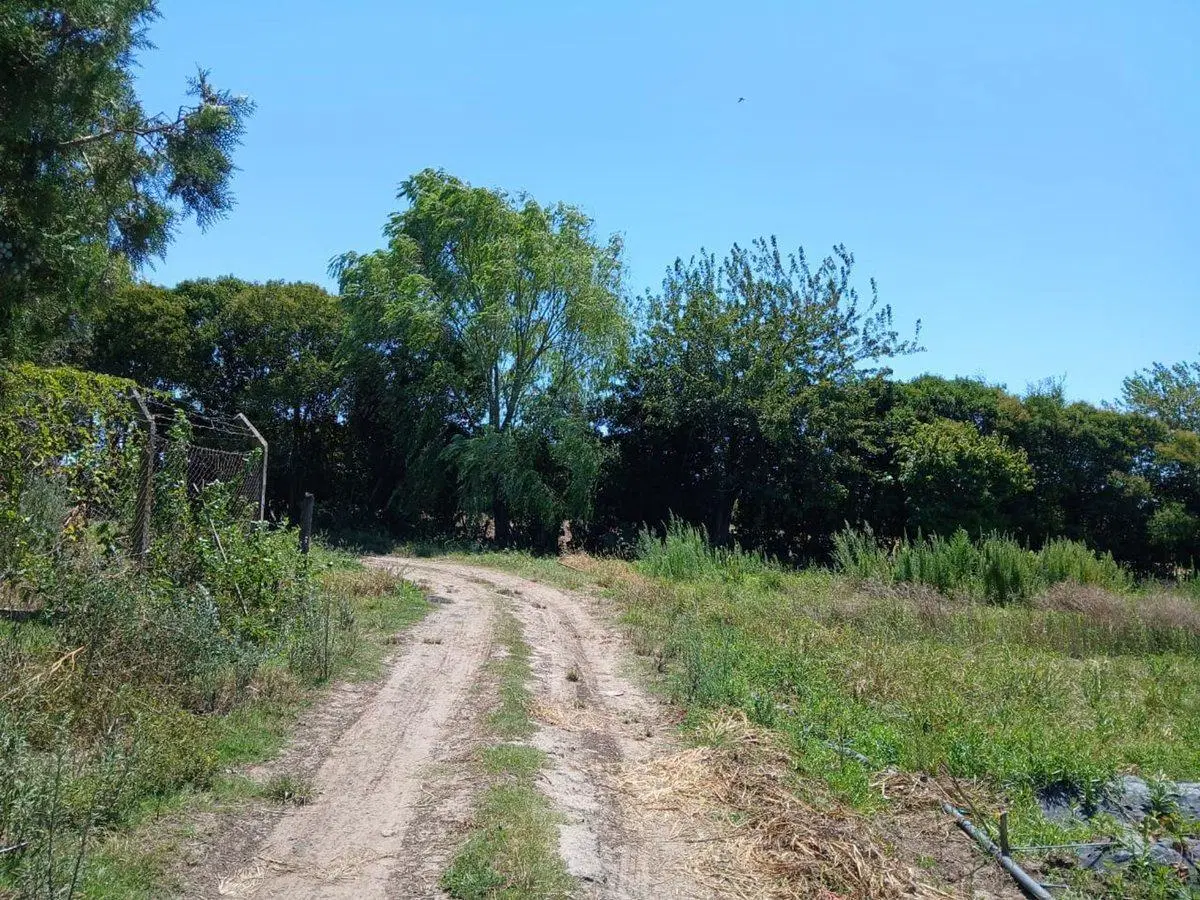 Campo Agricola, 6 Ha., Villa Vatteone, F. Varela 3