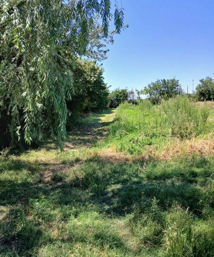 Campo Agricola, 6 Ha., Villa Vatteone, F. Varela 2