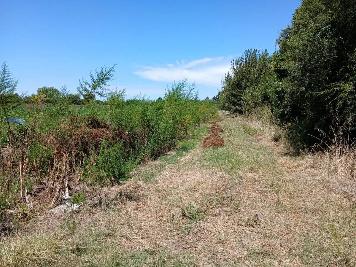 Campo Agricola, 6 Ha., Villa Vatteone, F. Varela 4