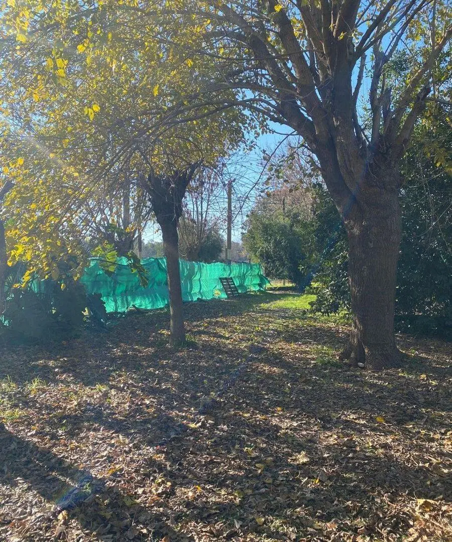 Terreno en venta en San Carlos Esquina 3