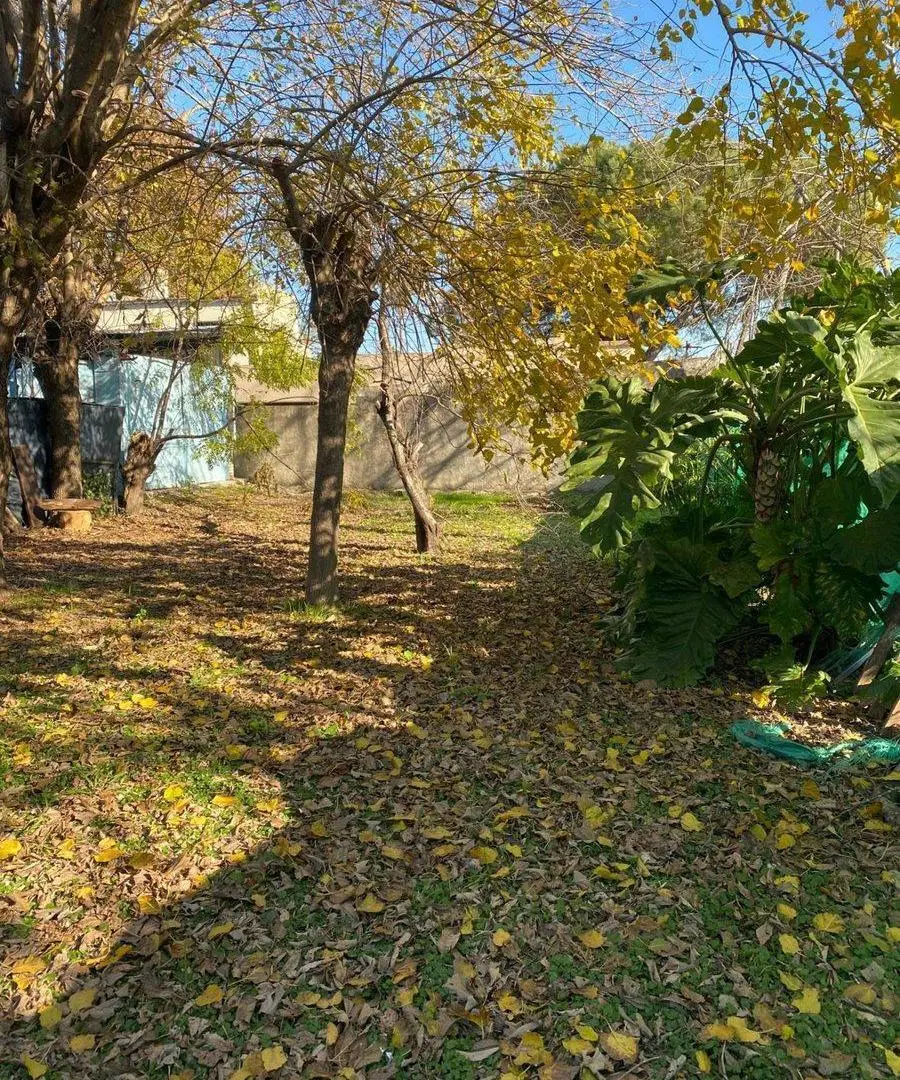 Terreno en venta en San Carlos Esquina 4