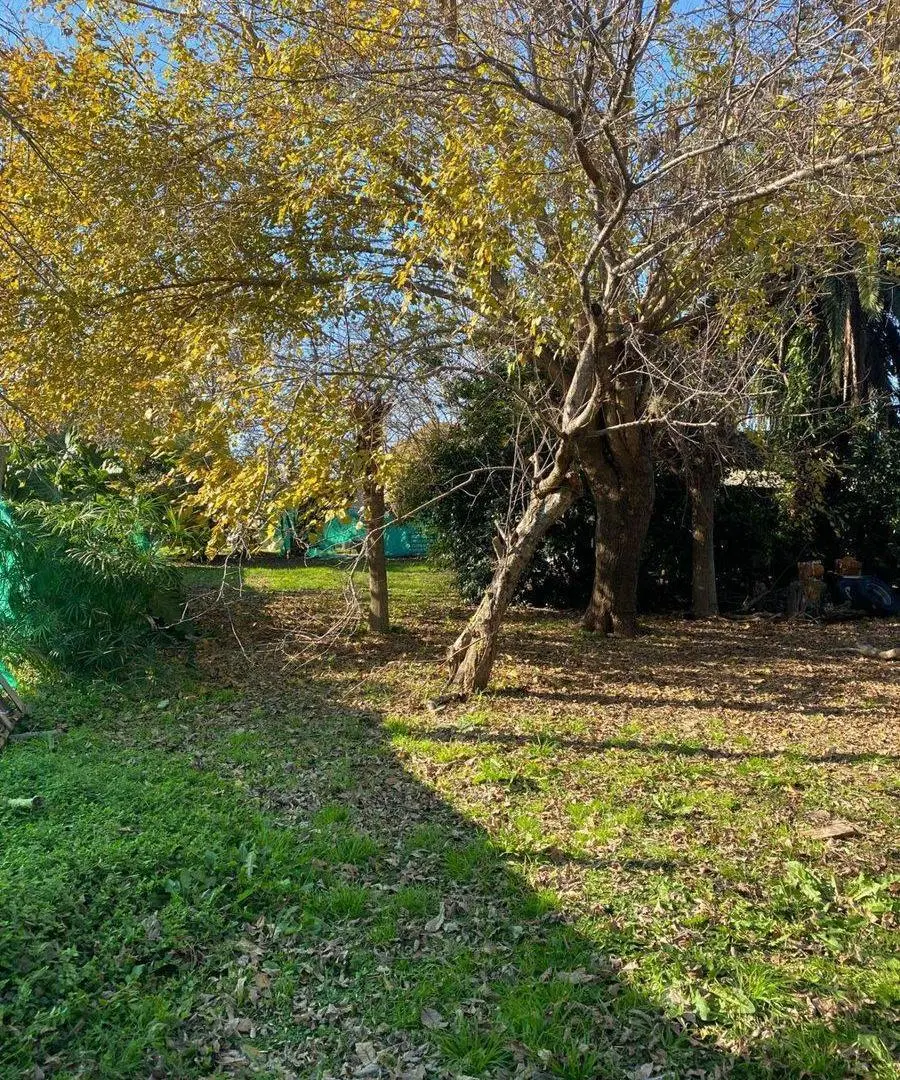Terreno en venta en San Carlos Esquina 5