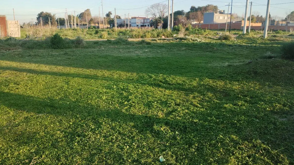 Terreno en venta San Carlos 3