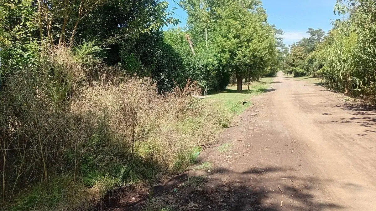 Venta de lote Arturo Seguí 4
