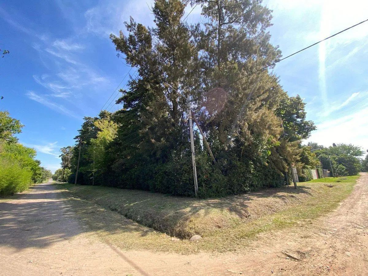 Venta de Terreno en Villa Elisa Entre Caminos 5