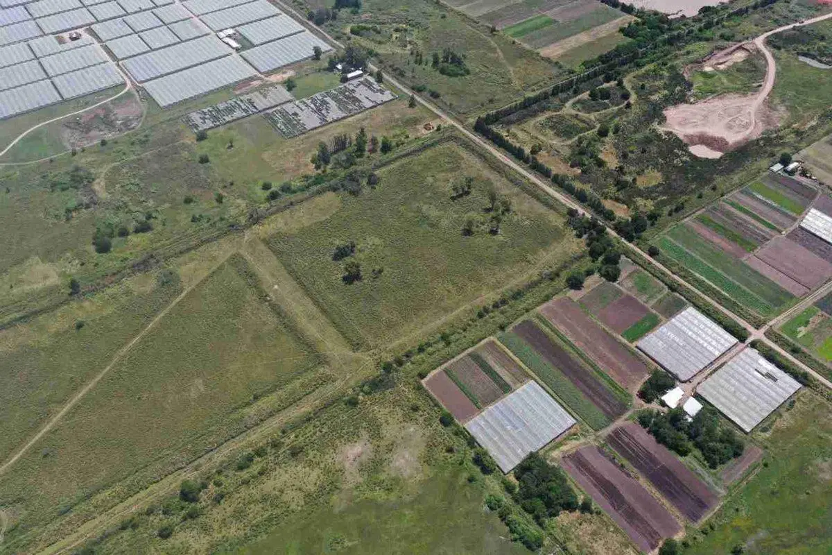 VENTA DE CAMPO/ FRACCION de 13,77 Has,  LOS HORNOS 5