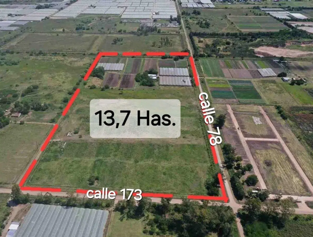 VENTA DE CAMPO/ FRACCION de 13,77 Has,  LOS HORNOS 3