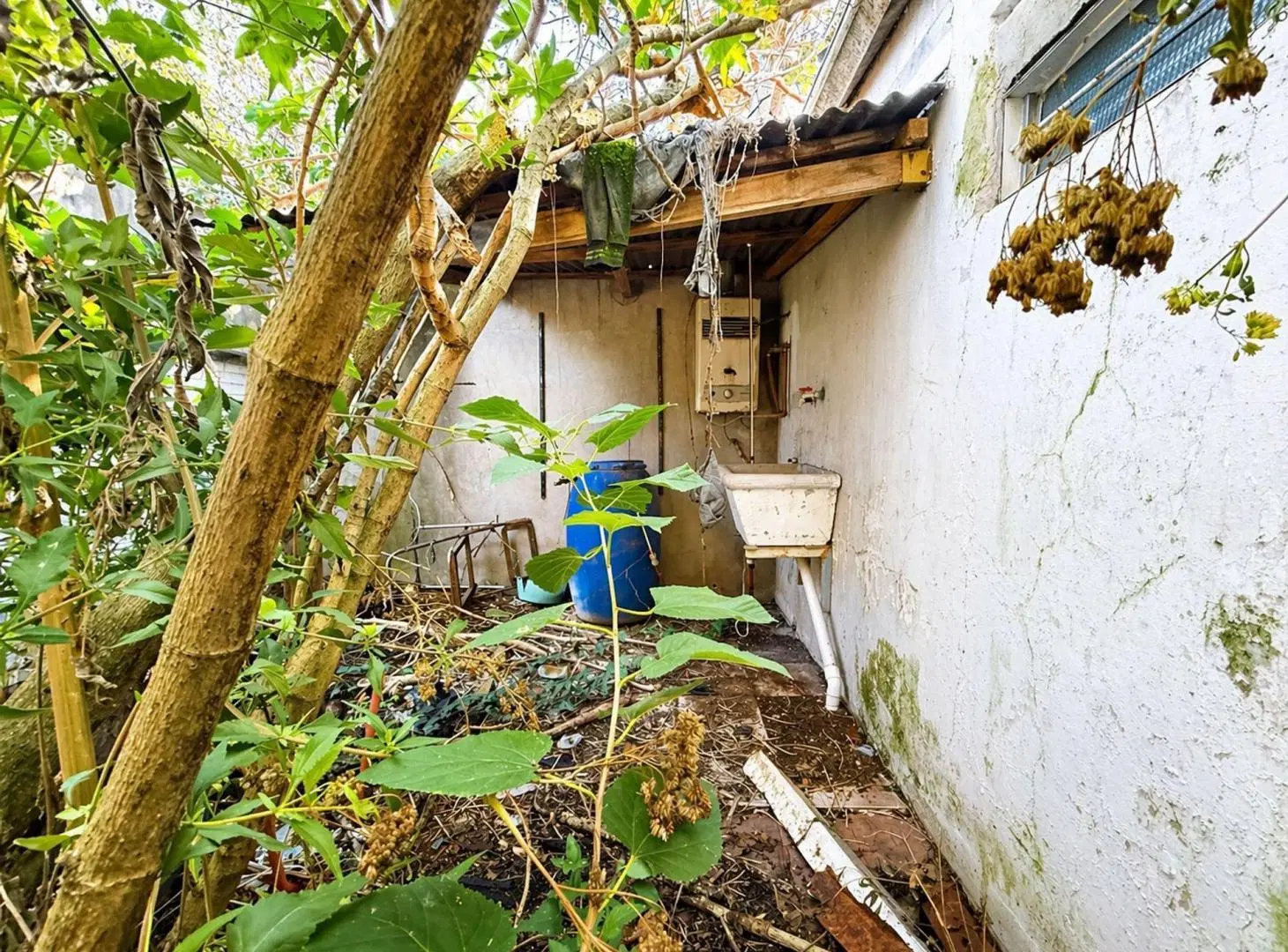 PH A REFACCIONAR 1 DORMITORIO Y PATIO 2