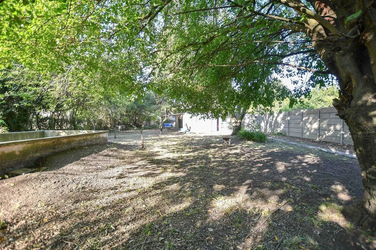 Casa quinta a remodelar con hermoso lote arbolado 4