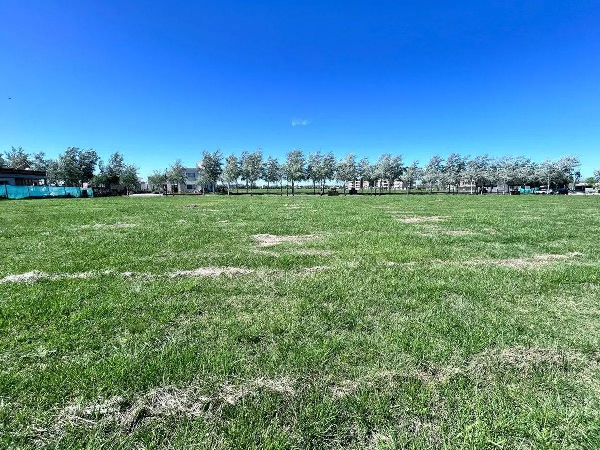 LOTE HARAS DEL SUR 3 3