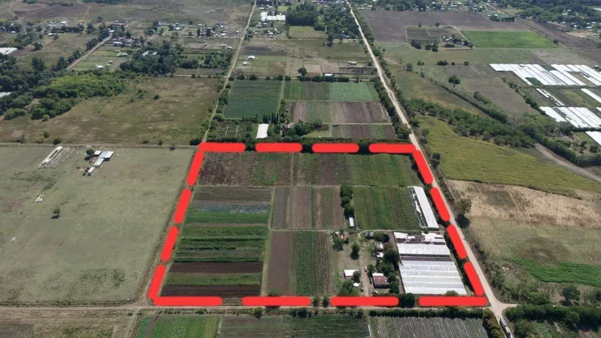 VENTA CAMPO 7,8 HAS AV. ALLAN Y 639. F. VARELA 2