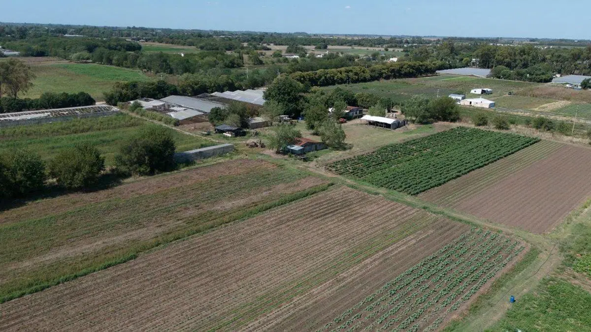 VENTA CAMPO 7,8 HAS AV. ALLAN Y 639. F. VARELA 5