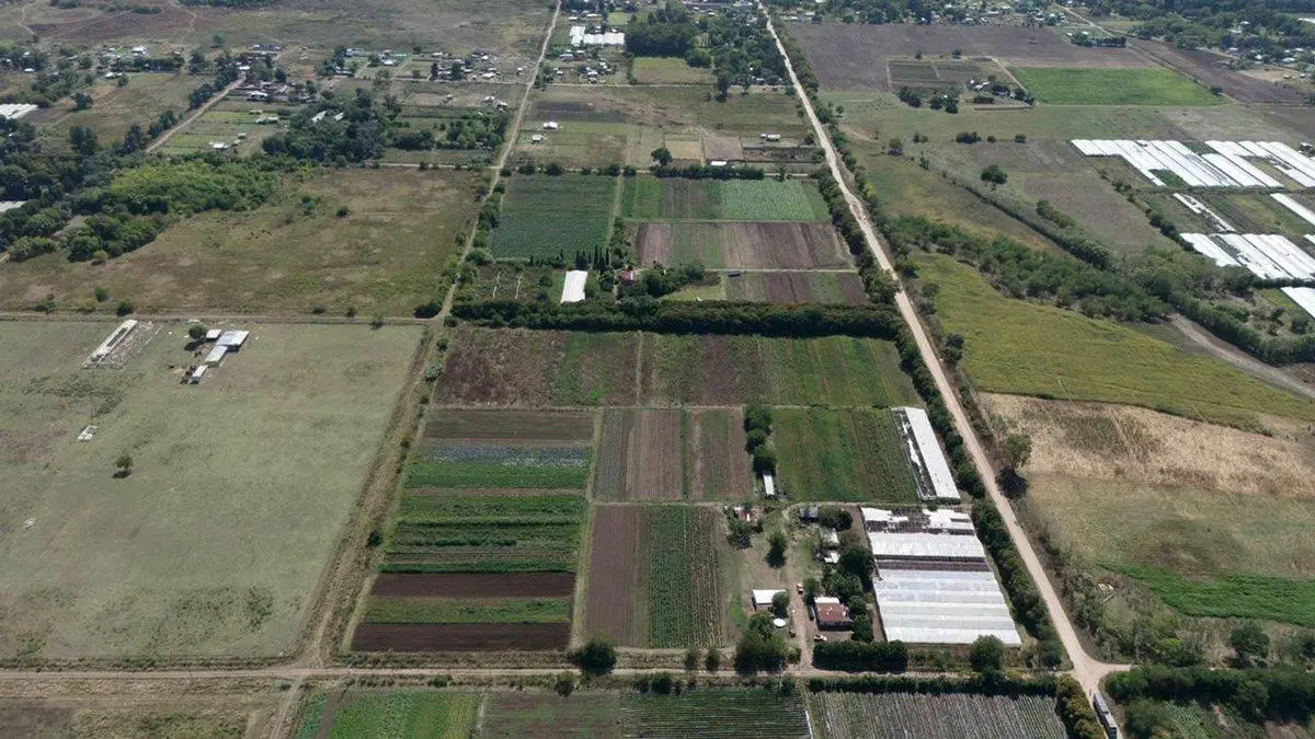 VENTA CAMPO 7,8 HAS AV. ALLAN Y 639. F. VARELA 4