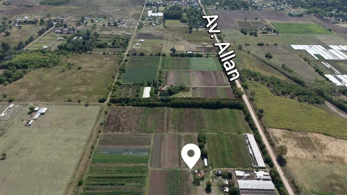 VENTA CAMPO 7,8 HAS AV. ALLAN Y 639. F. VARELA 3