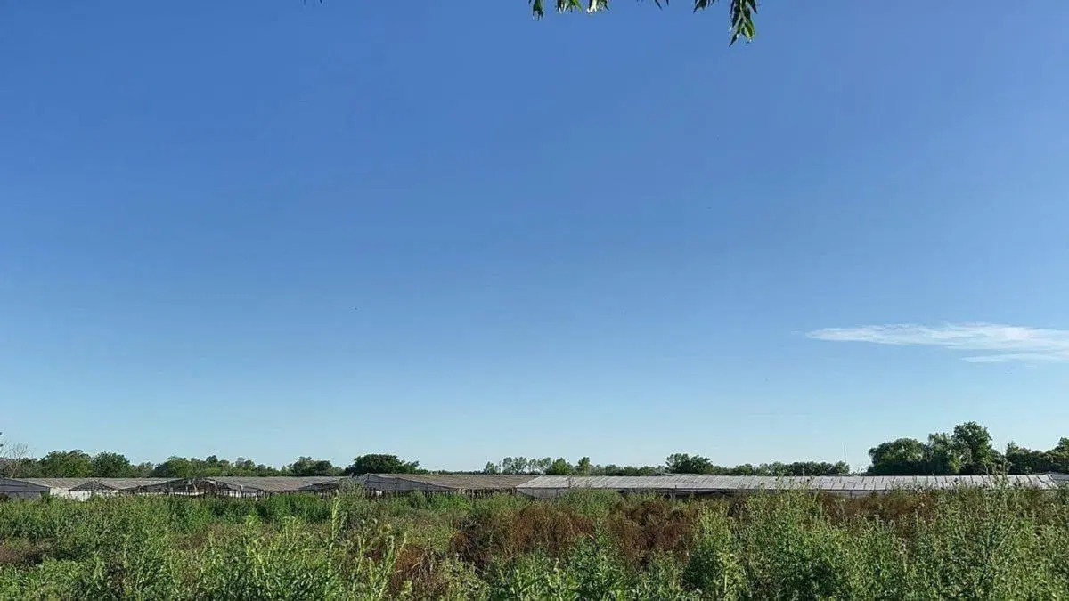 5,5 HECTAREAS EN VENTA EN LAS BANDERITAS CITY BELL 2
