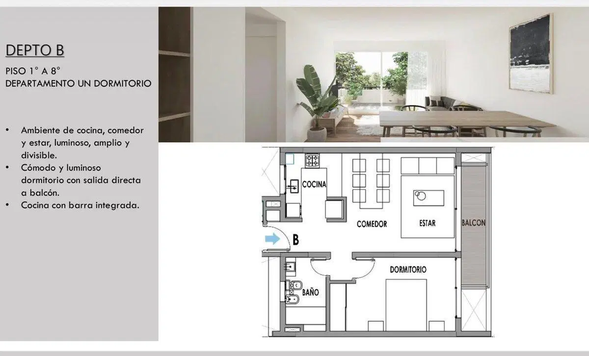 Plano 6
