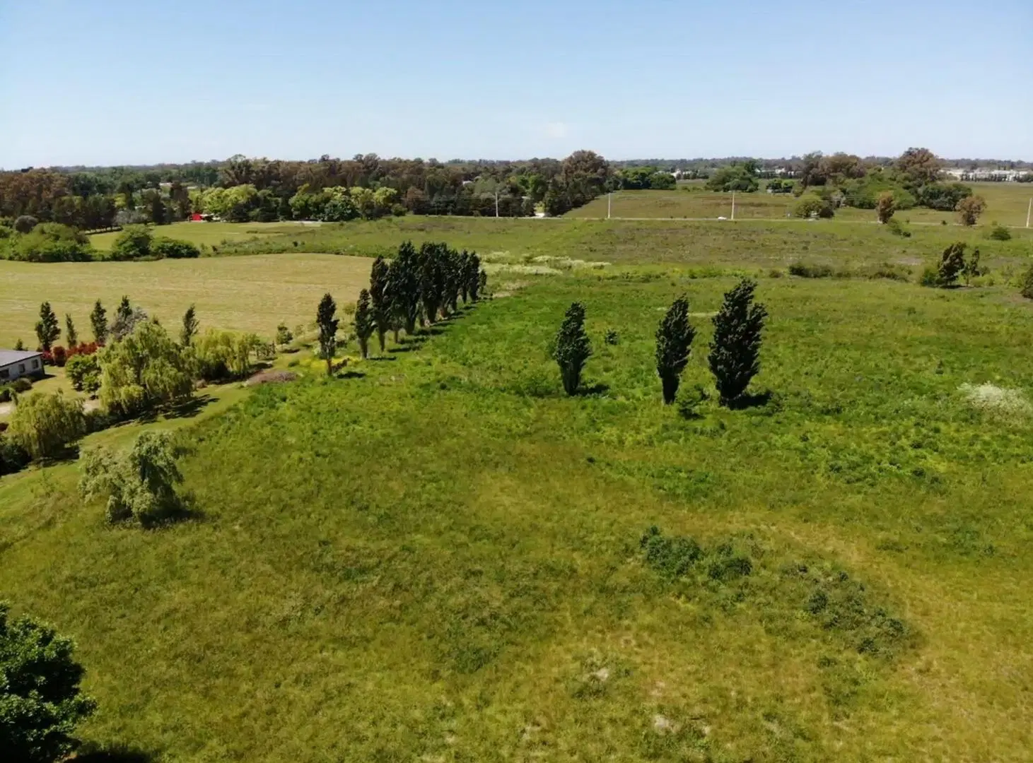 1 HECTAREA EN VENTA - LOS PORTEÑOS, CITY BELL 5