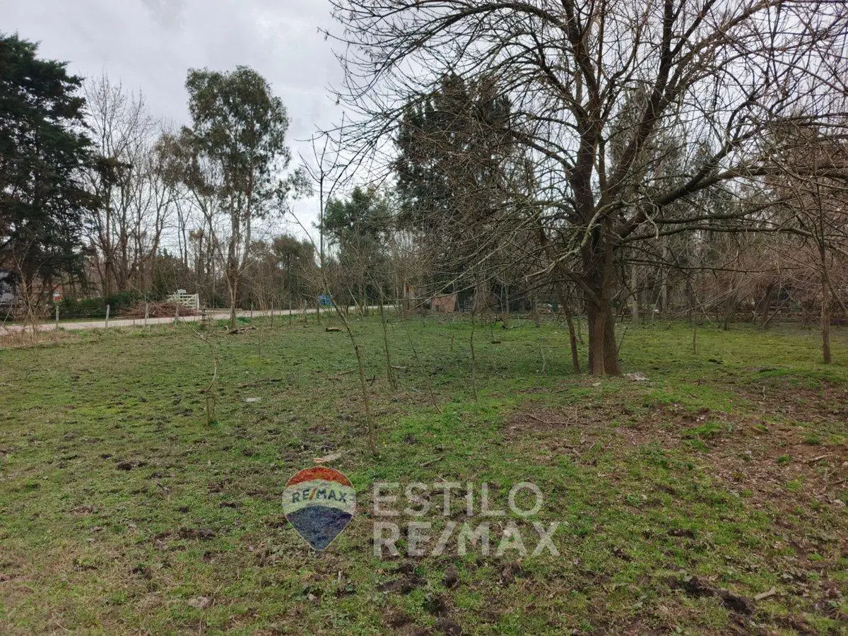 LOTE EN GÓMEZ EN VENTA 8