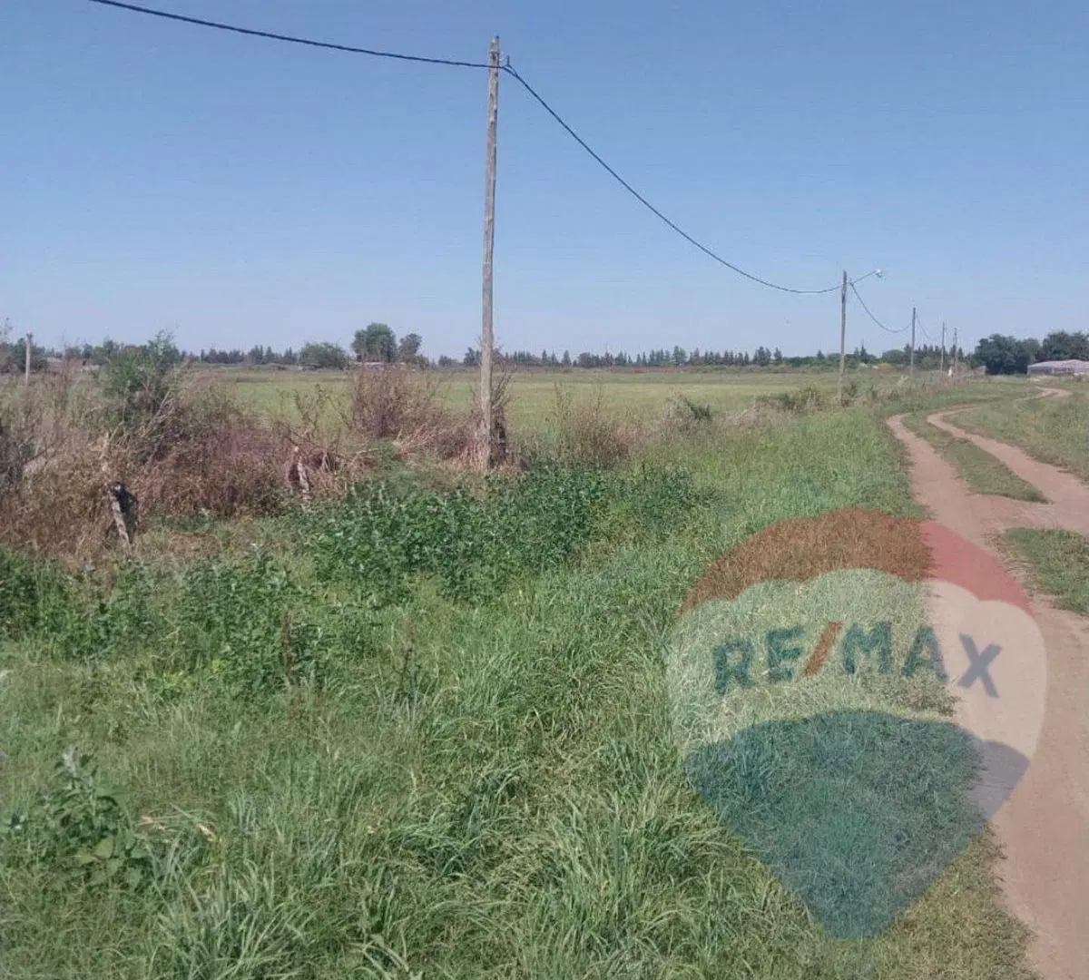 VENTA DE CAMPO DE 3,44 HAS. EN LOS HORNOS, LAPLATA 5