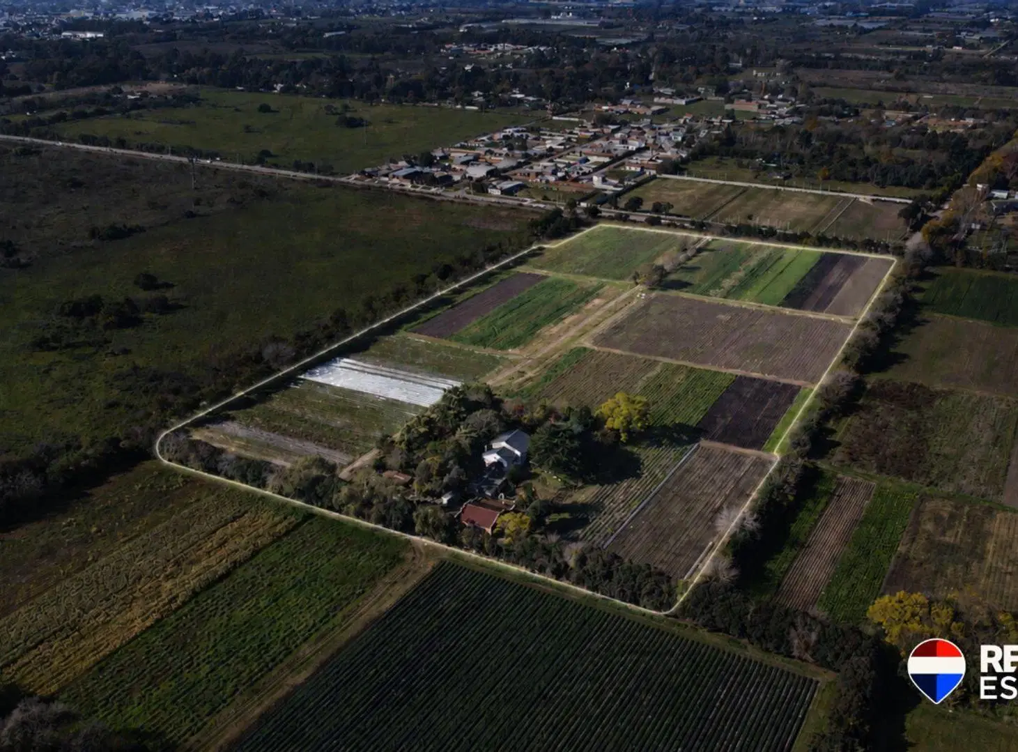 Campo Agricola, 6 Ha., Villa Vatteone, F. Varela 3
