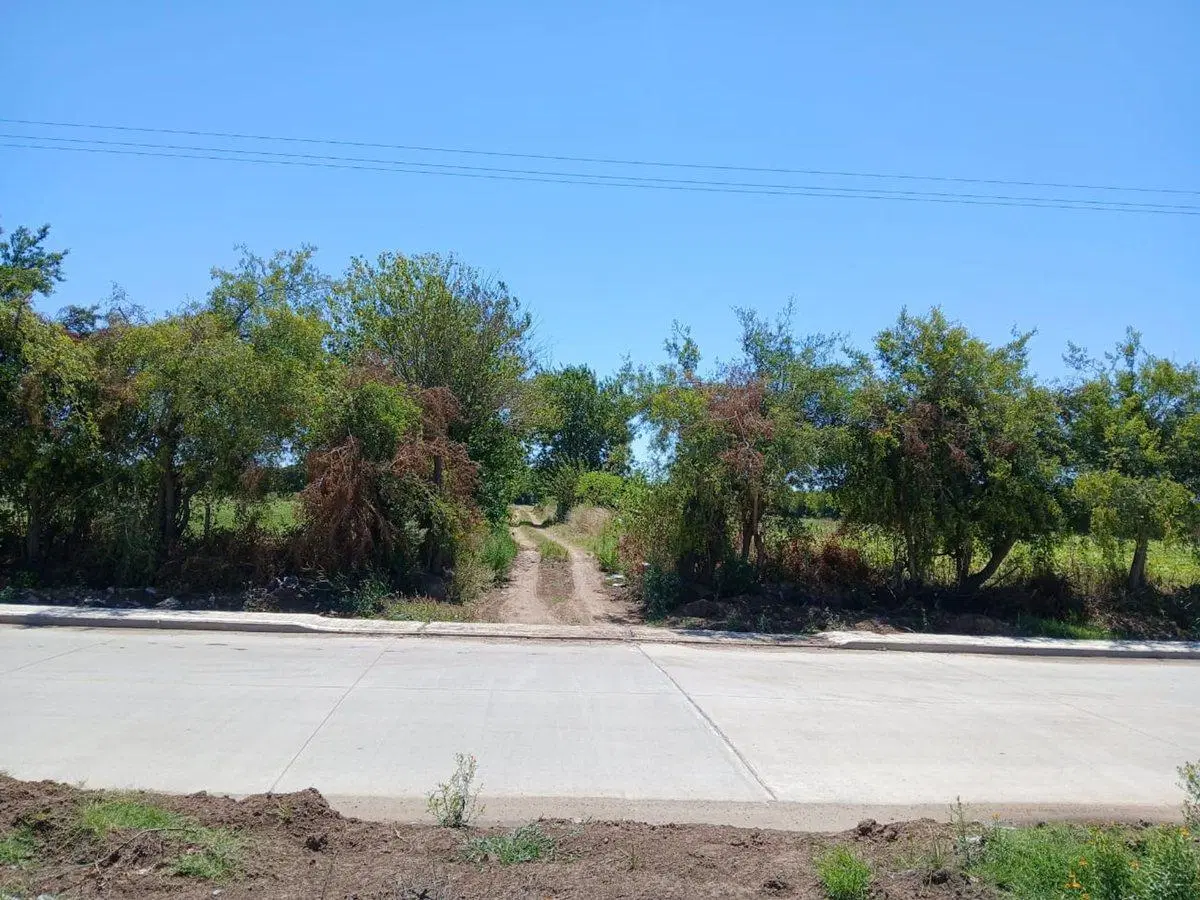 Campo Agricola, 6 Ha., Villa Vatteone, F. Varela 4