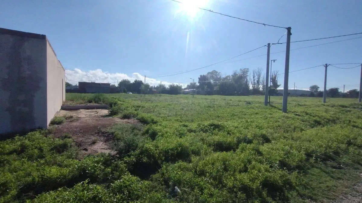 Terreno en venta San Carlos 6