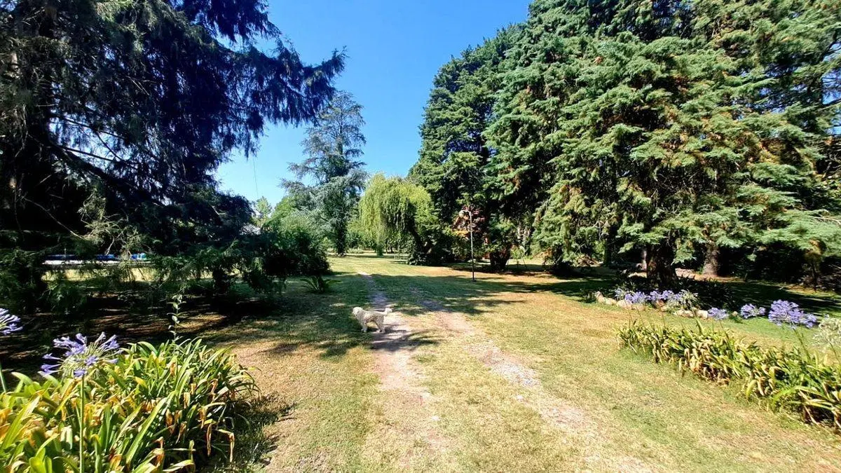 CASA QUINTA en VENTA en LA PLATA- TERRENO 6.000 m2 8