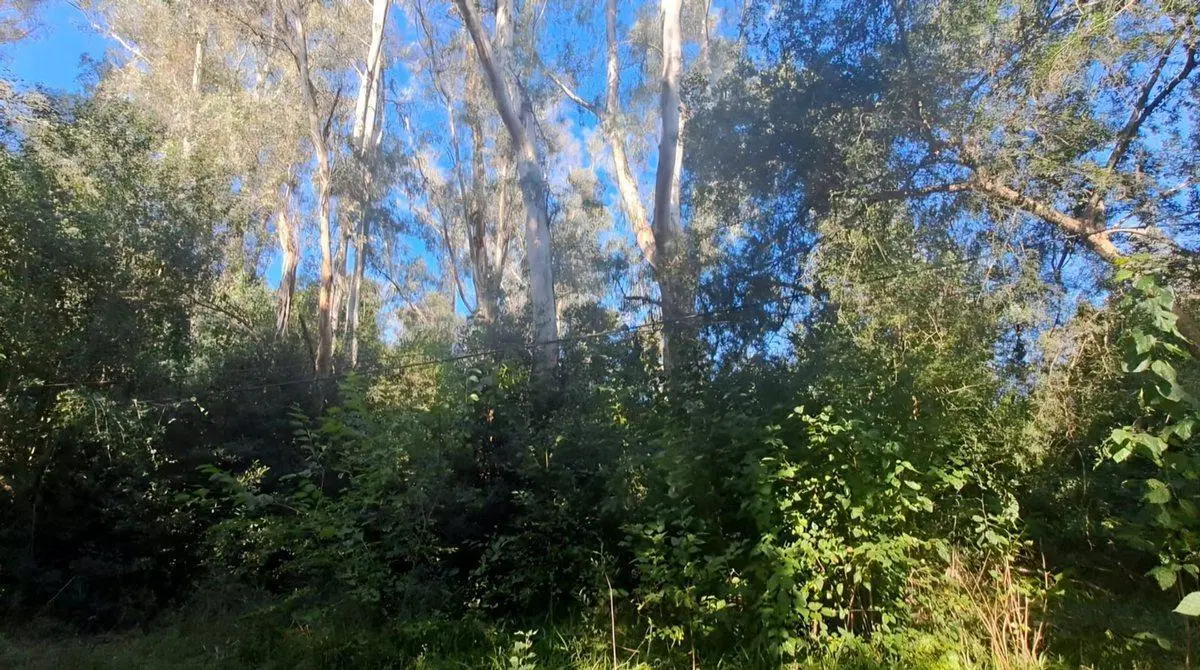 LOTE EN VENTA EN BARRIO CERRADO LOS BOSQUECITOS 2