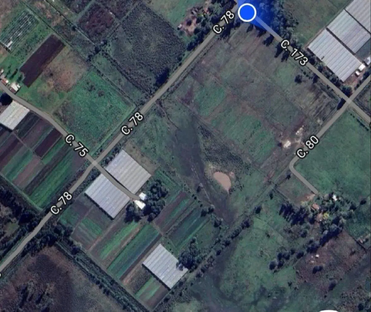 VENTA DE CAMPO/ FRACCION de 13,77 Has,  LOS HORNOS 2