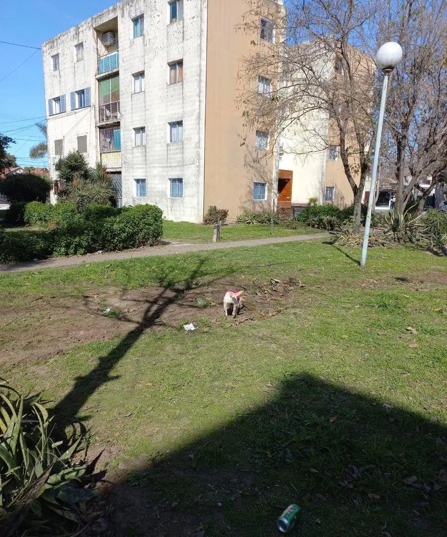 Dpto. venta, 3 dormitorios, Ezpeleta, Quilmes 3
