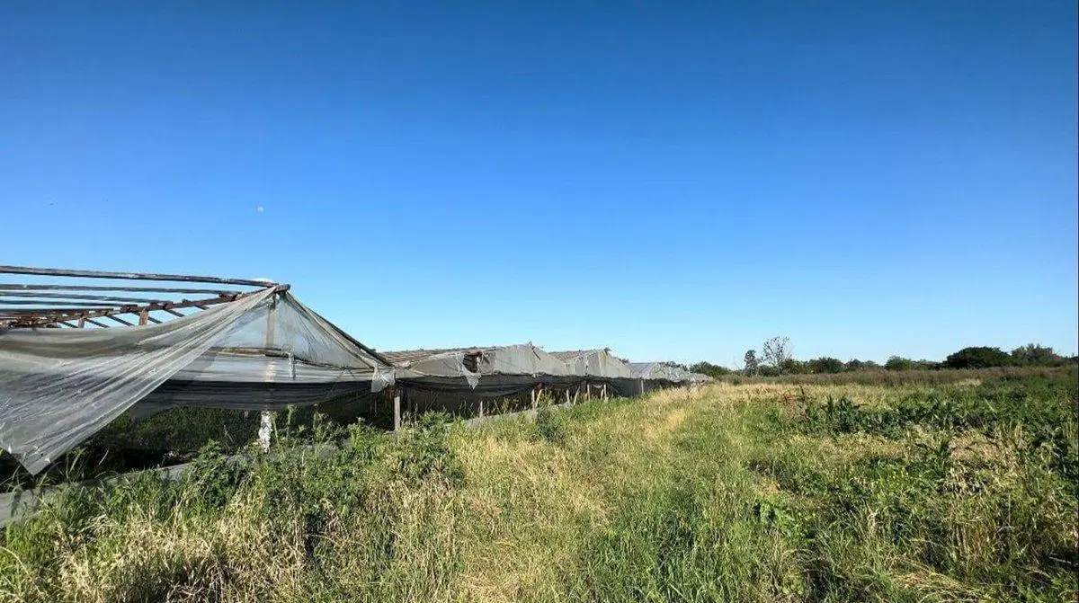5,5 HECTAREAS EN VENTA EN LAS BANDERITAS CITY BELL 5