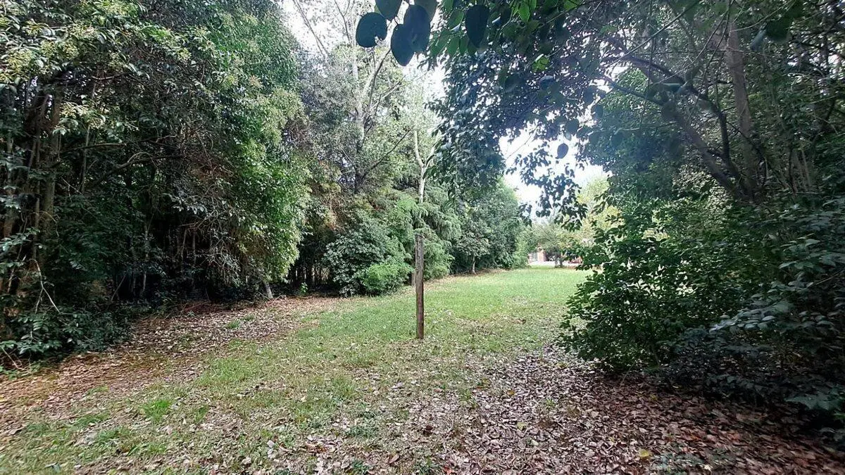 LOTE en VENTA en EL PATO 3