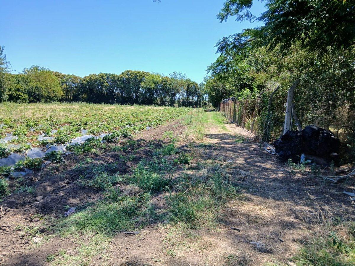 Foto de Campo Agrícolas 6 Hectáreas, imagen 5