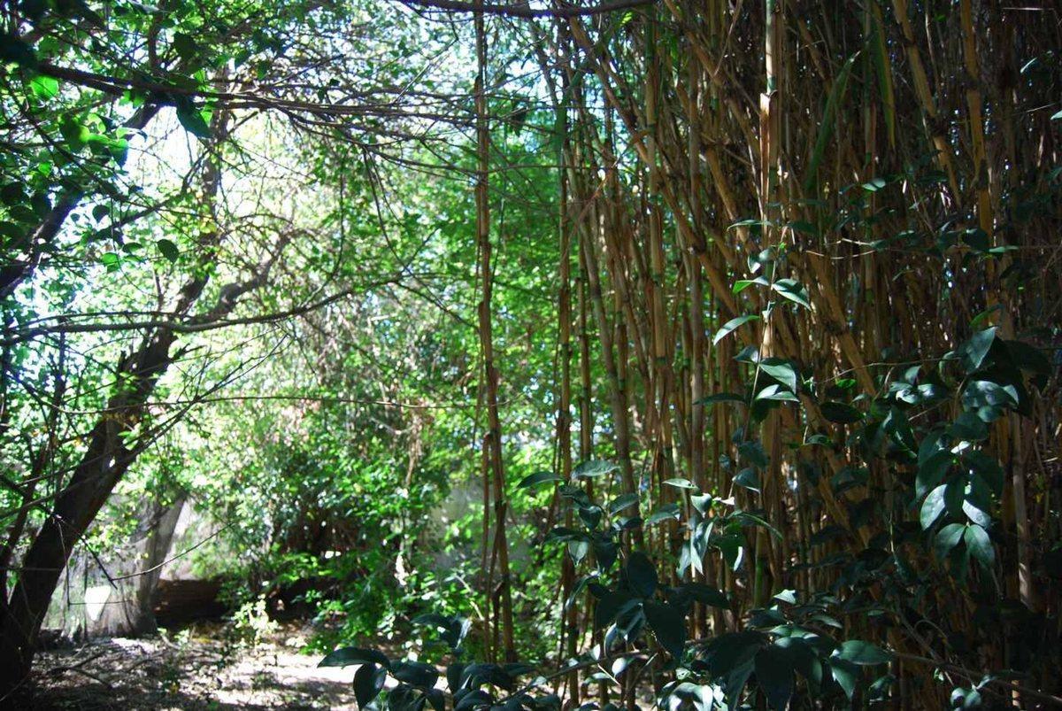 Foto de CASA DE 2 DORMIS A RECICLAR, imagen 5