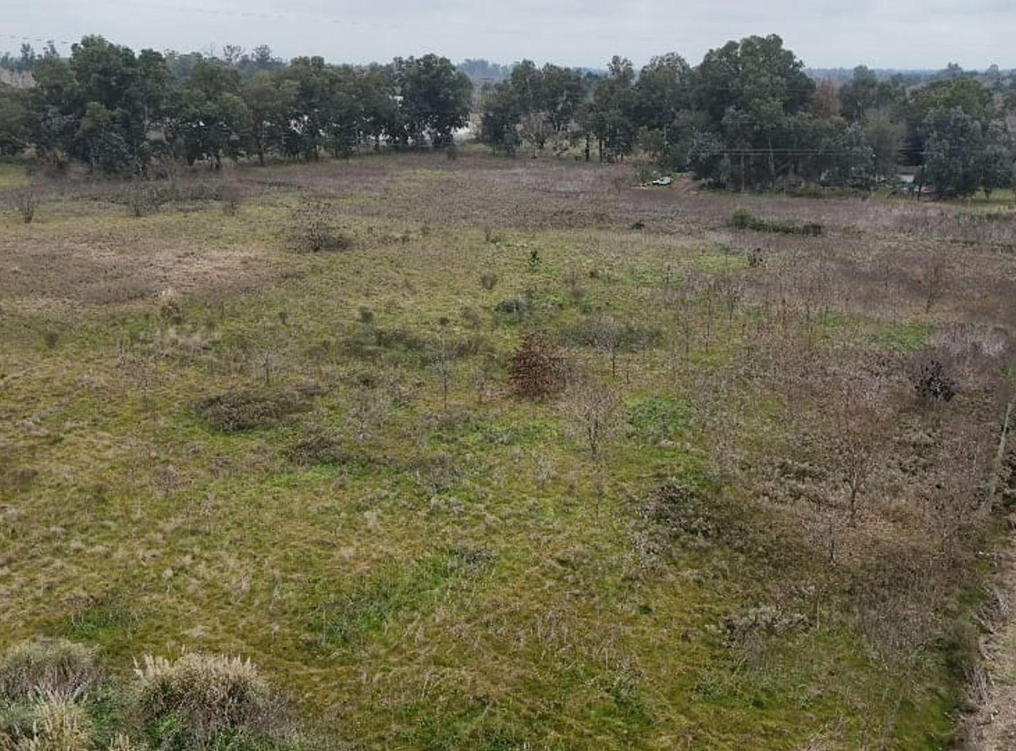 Foto de CAMPO/ LOTE DE 18.500M2 502 e/ 202 y 208-ABASTO, imagen 5