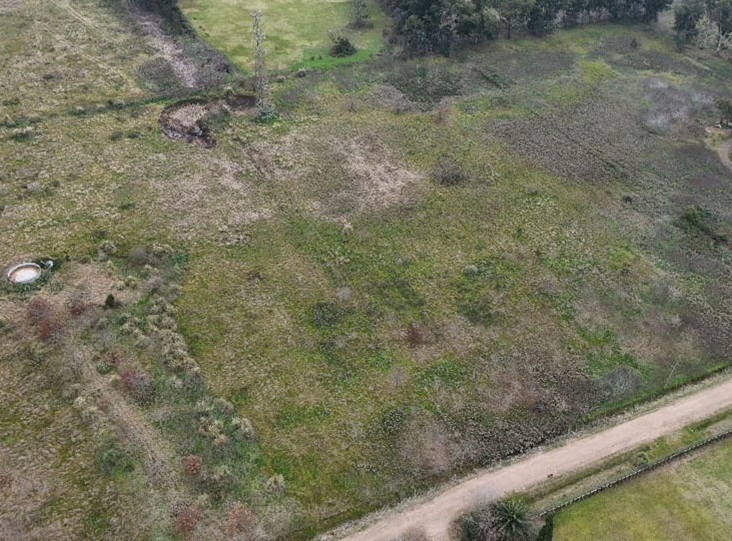 Foto de CAMPO/ LOTE DE 18.500M2 502 e/ 202 y 208-ABASTO, imagen 3