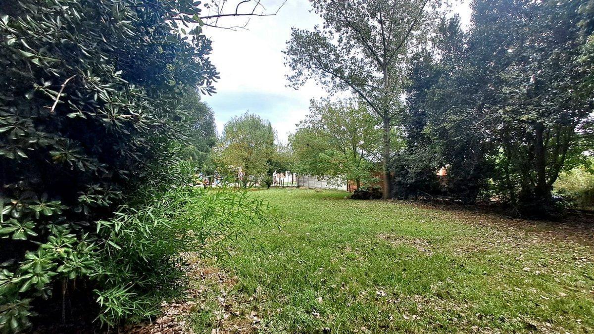 Foto de LOTE en VENTA en EL PATO, imagen 5
