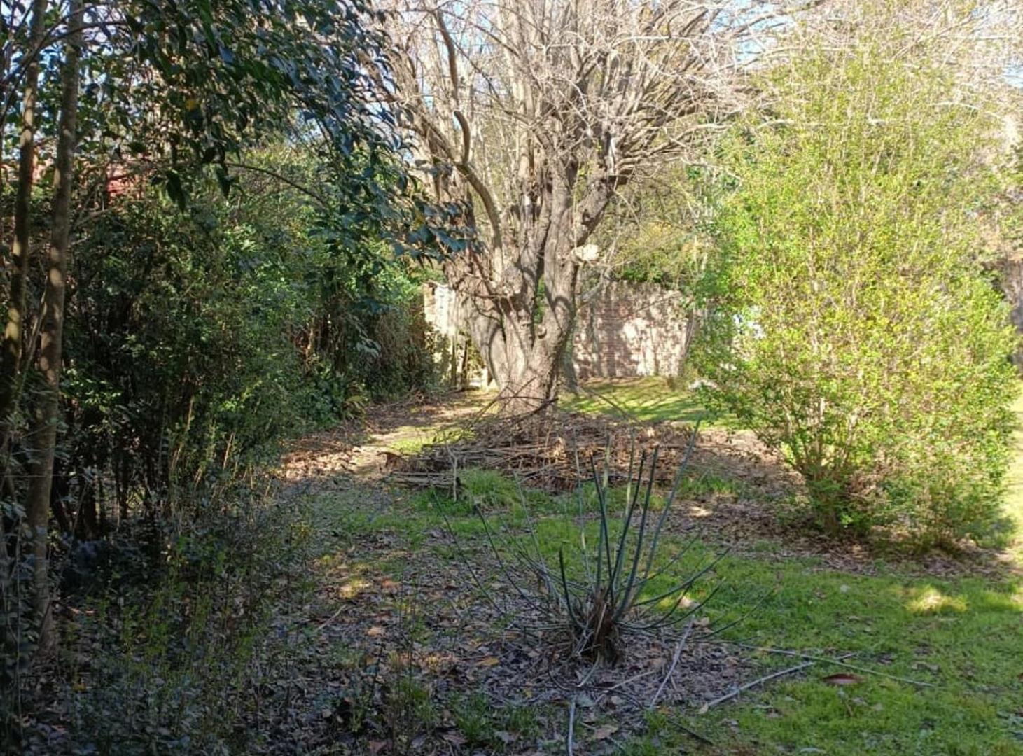 Foto de Terreno en calle 132 entre 467 y 468, imagen 1