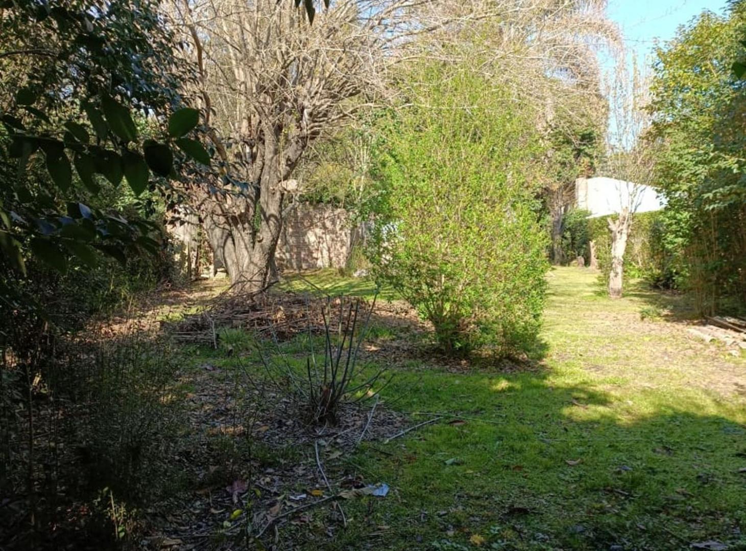 Foto de Terreno en calle 132 entre 467 y 468, imagen 3