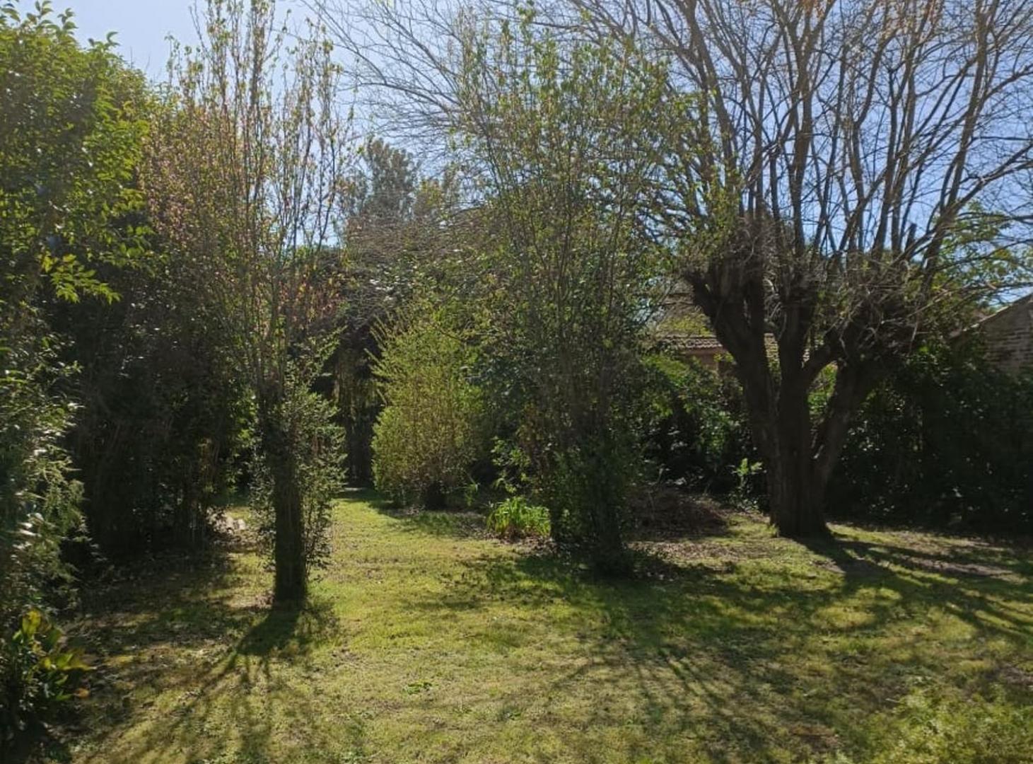 Foto de Terreno en calle 132 entre 467 y 468, imagen 5