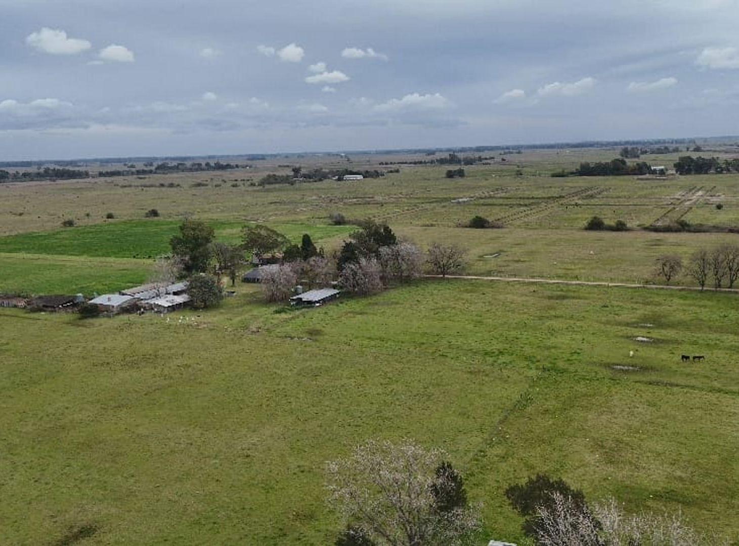 Foto de CAMPO 72 HAS ZONA BRANDSEN AUTODROMO LA PLATA, imagen 5