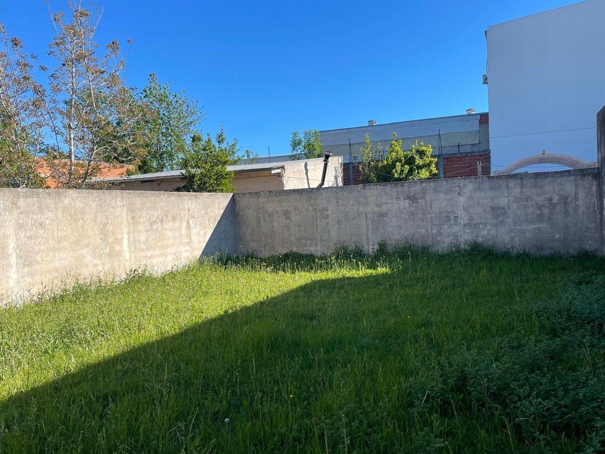Foto de CASA EN VENTA A REFACCIONAR 3 DORMS. Y PARQUE, imagen 5