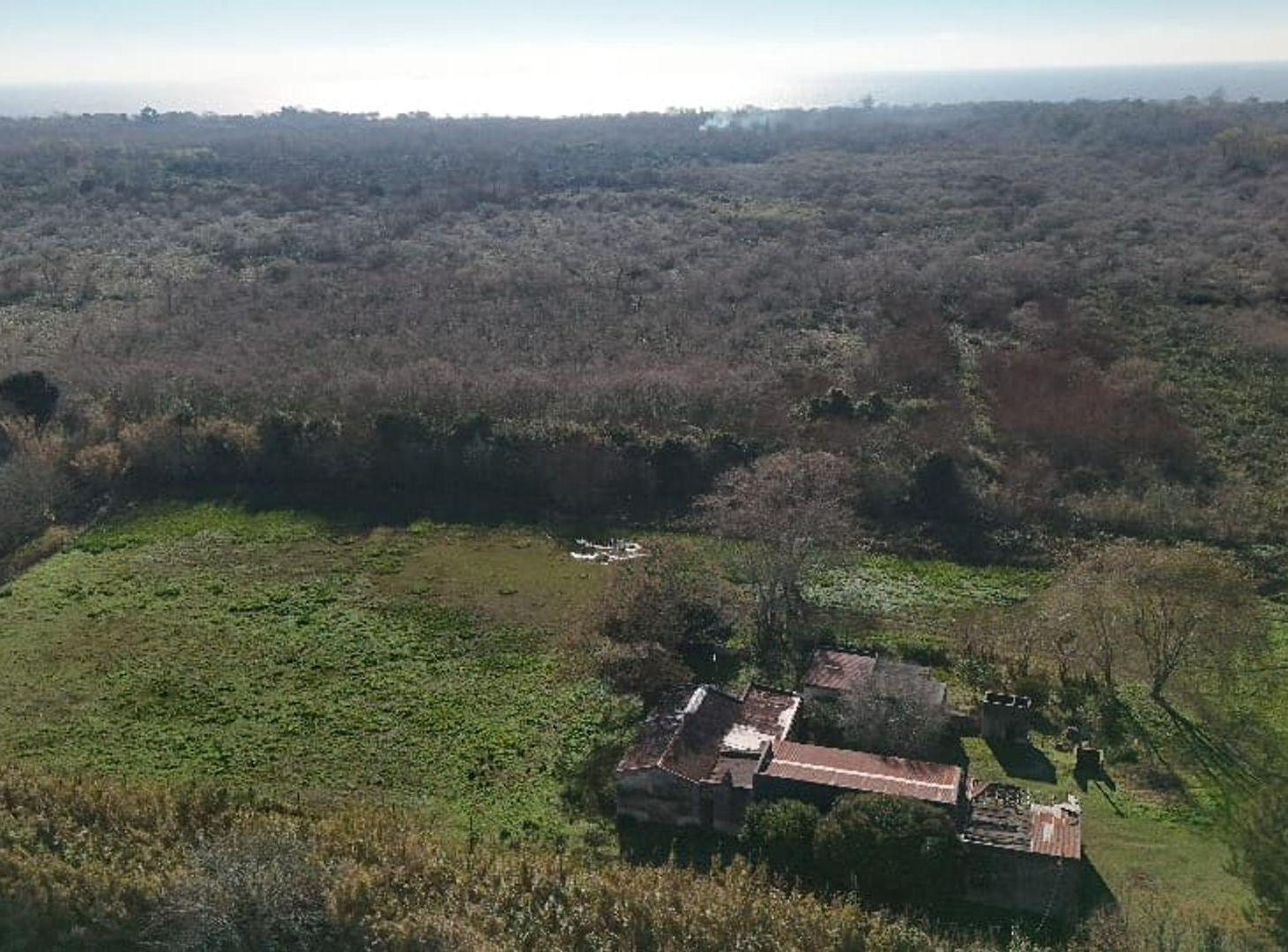 Foto de VENTA CAMPO DE 6,14 HAS EN LOS TALAS -BERISSO, imagen 1