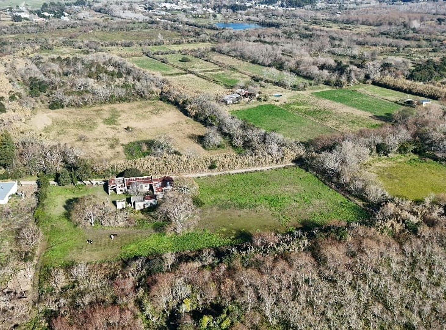 Foto de VENTA CAMPO DE 6,14 HAS EN LOS TALAS -BERISSO, imagen 2