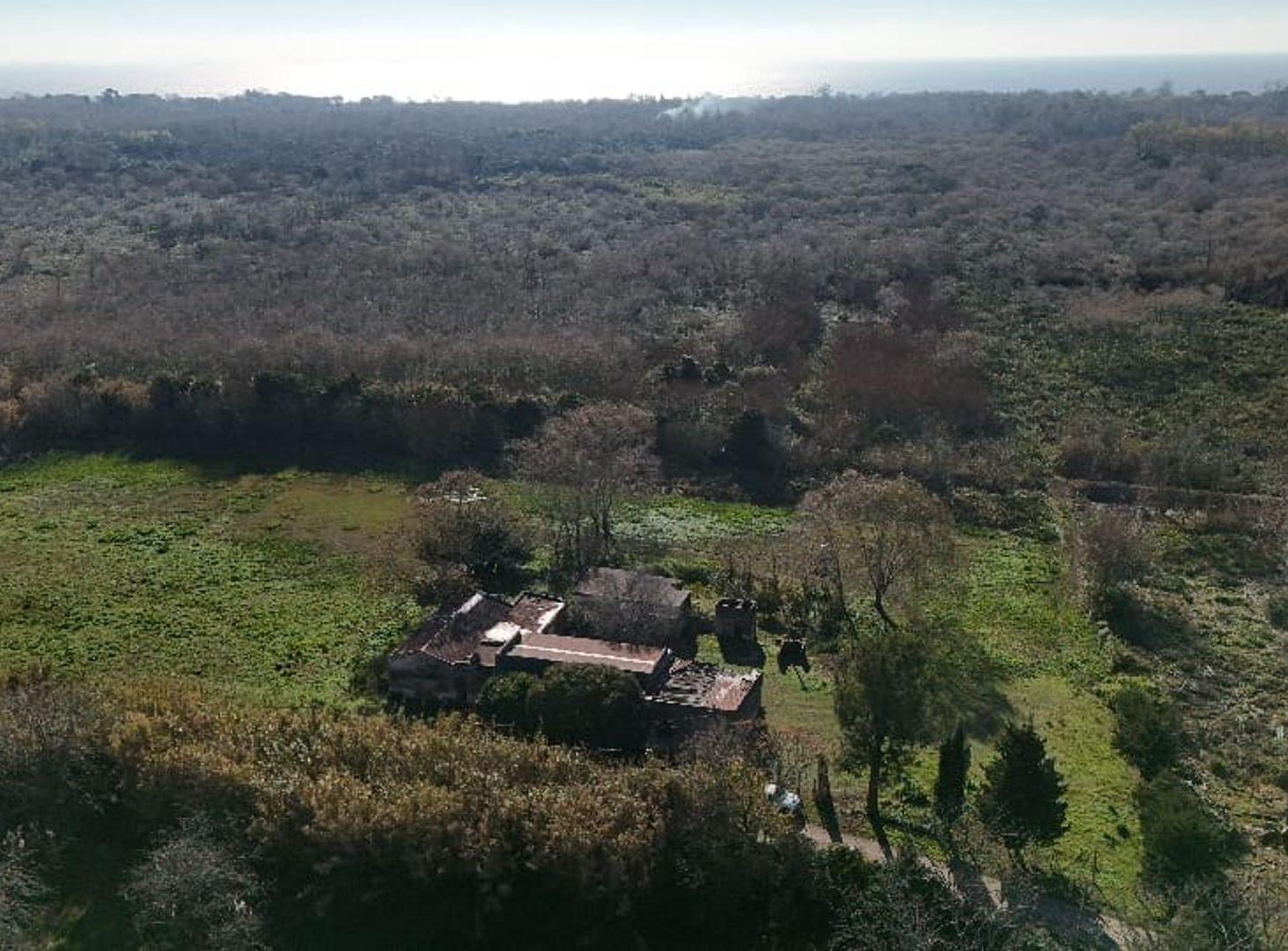 Foto de VENTA CAMPO DE 6,14 HAS EN LOS TALAS -BERISSO, imagen 3