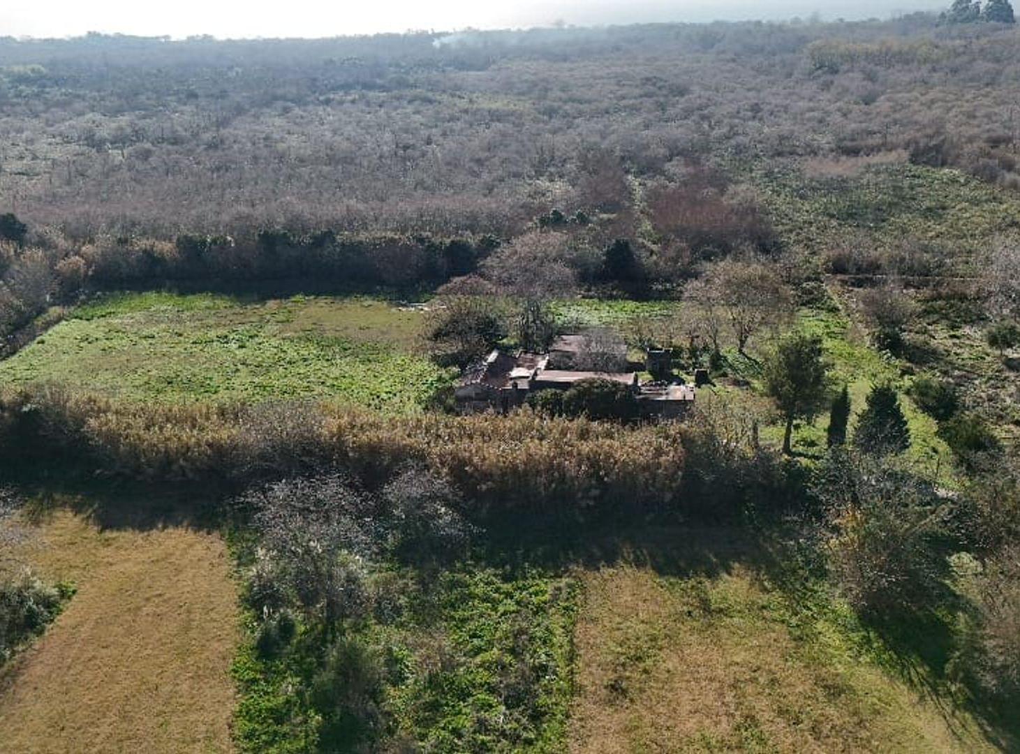 Foto de VENTA CAMPO DE 6,14 HAS EN LOS TALAS -BERISSO, imagen 4