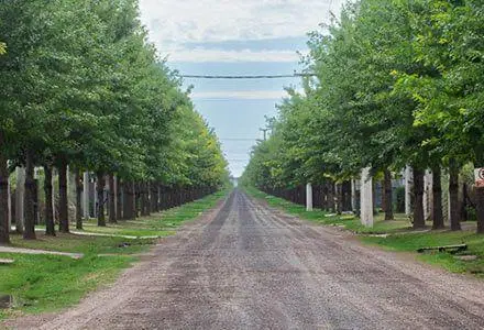 Terreno en venta, Ibarlucea, las casuarinas barrio privado 2